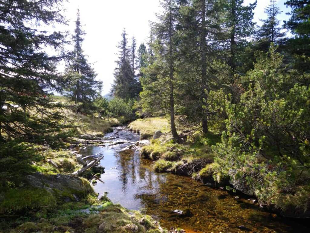 Hotel Heitzmann Mittersill: traditional alpine idyll